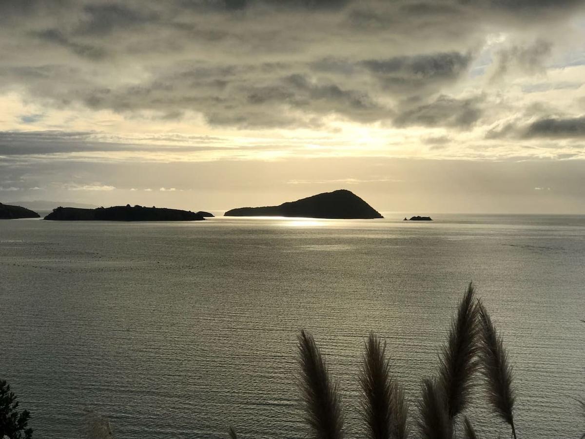 הוילה Coromandel Island View Experience מראה חיצוני תמונה