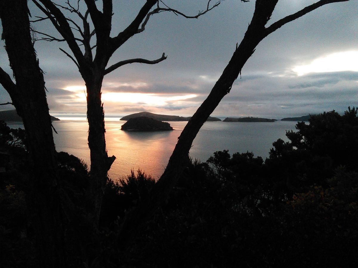 הוילה Coromandel Island View Experience מראה חיצוני תמונה